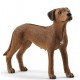 Rhodesian Ridgeback - Schleich 13895